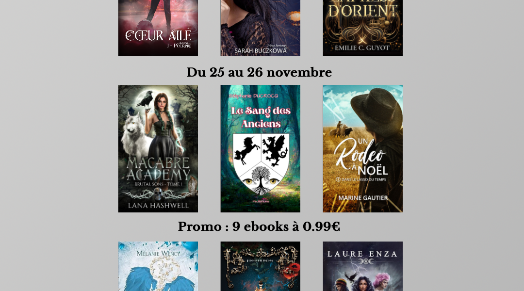 promo ebook fantasy